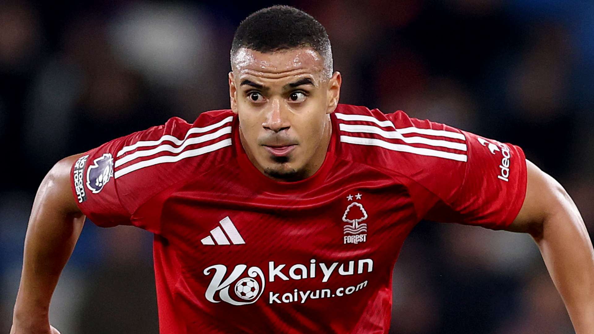 培养是许多 培养是许多