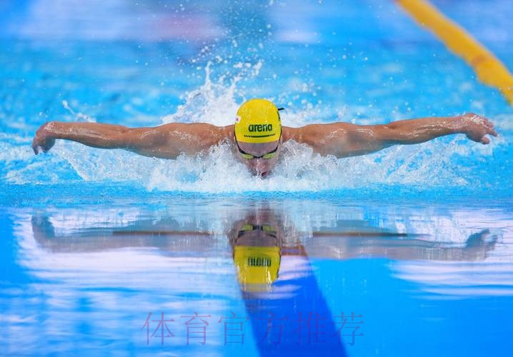 20260118 蝶泳 20260118 蝶泳